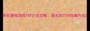 单机硬核游戏TOP20全攻略通关技巧与隐藏内容