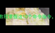 Dota2单机对战保姆级教程掌握这10个命令指令轻松变身单机战神