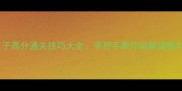 iPad波斯王子高分通关技巧大全手把手教你破解谜题与资源管理