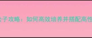 柔倾天下七公子攻略如何高效培养并搭配高性价比阵容