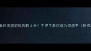 必玩2D单机海盗游戏攻略大全手把手教你成为海盗王附资源下载