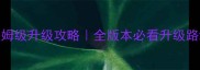 新天堂2保姆级升级攻略全版本必看升级路线与技巧