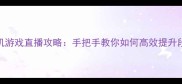 单机游戏直播攻略手把手教你如何高效提升段位