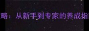 大话西游2养育系统全攻略从新手到专家的养成指南附详细操作步骤