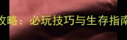 石器时代20单机攻略必玩技巧与生存指南附完整流程