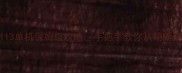 完美世界113单机保姆级攻略手把手教你从萌新变满级大佬