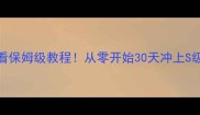 阿岚全攻略手残党必看保姆级教程从零开始30天冲上S级附隐藏技能解锁方法