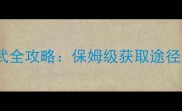 孩子高效装备光武全攻略保姆级获取途径与属性搭配技巧