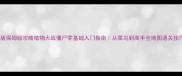 Z版保姆级攻略植物大战僵尸零基础入门指南从菜鸟到高手全地图通关技巧