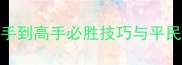 海商王3海盗玩法全攻略从新手到高手必胜技巧与平民逆袭指南附高分船队配置