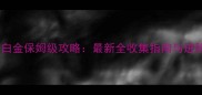 宝可梦白金保姆级攻略最新全收集指南与进阶玩法