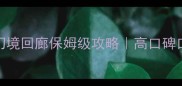 必玩零氪单机RPG幻境回廊保姆级攻略高口碑口碑神作保姆级攻略