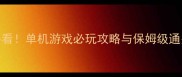 玩家必看单机游戏必玩攻略与保姆级通关技巧