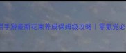 神雕侠侣手游最新花束养成保姆级攻略零氪党必看全流程