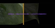 暗夜裁决恶魔主角的终极攻略必玩技巧与隐藏剧情全