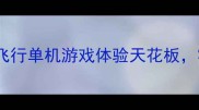 飞行必玩推荐手机模拟飞行单机游戏体验天花板零氪党也能轻松通关攻略