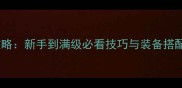 魔方世界盗贼职业全攻略新手到满级必看技巧与装备搭配指南附满级Build