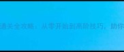 润衡主管会计单机版通关全攻略从零开始到高阶技巧助你轻松掌握财务模拟