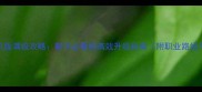 魔兽世界单机版满级攻略新手必看的高效升级指南附职业路线与资源推荐