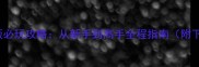 FIFAMobile单机版必玩攻略从新手到高手全程指南附下载与配置技巧
