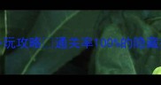 100room2必玩攻略通关率100的隐藏技巧大公开