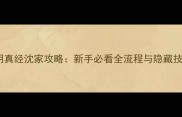 九阴真经沈家攻略新手必看全流程与隐藏技巧
