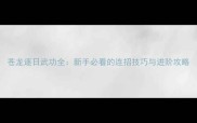 苍龙逐日武功全新手必看的连招技巧与进阶攻略