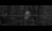 梦幻西游点化石平民玩家必看最新5大技巧与实战指南助你快速提升属性
