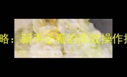 PSPWE最新全攻略新手必看的高效操作技巧与隐藏副本