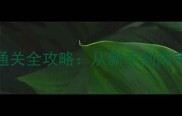 魔塔雷霆缉毒行动通关全攻略从新手到高手的保姆级生存指南