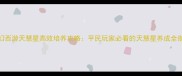 梦幻西游天慧星高效培养攻略平民玩家必看的天慧星养成全指南