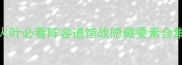 保姆级全攻略宝可梦火叶必看阵容道馆战隐藏要素合集从零到满星保姆指南