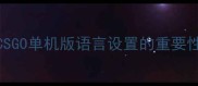CSGO单机版语言设置的重要性