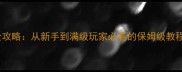 奇迹S12单机版全攻略从新手到满级玩家必看的保姆级教程附资源下载