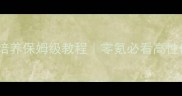 逍遥西游宝宝培养保姆级教程零氪必看高性价比养成攻略