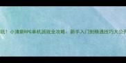 必玩小清新RPG单机游戏全攻略新手入门到精通技巧大公开