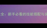 逆火装备职业全新手必看的技能搭配与装备属性指南