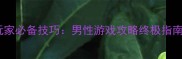 15个硬核玩家必备技巧男性游戏攻略终极指南更新
