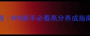 西游释厄传保姆级攻略RPG新手必看高分养成指南附角色阵容副本全