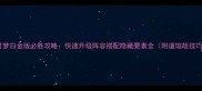 宝可梦白金版必胜攻略快速升级阵容搭配隐藏要素全附道馆战技巧
