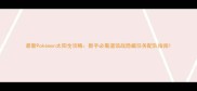 最新Pokmon太阳全攻略新手必看道馆战隐藏任务配队指南