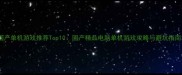 国产单机游戏推荐Top10国产精品电脑单机游戏攻略与避坑指南