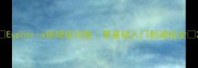 Euphoria保姆级攻略零基础入门到满级全